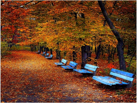 SEATS FOR ALL MY DN FRIENDS - trees, scenery, benches, blue benches, leaves, fall, autumn, seats, bulgaria