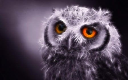 Fractal Night Owl - owl, bird, animal, night, wild, fractal