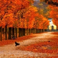 Colors of Autumn