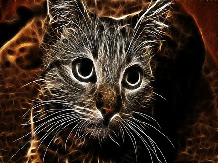 a creature of pure energy - creature, energy, pure, fractal, cat