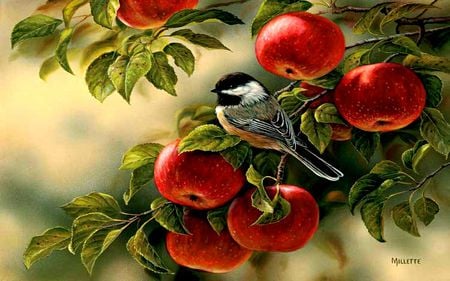 beautiful painting - painting, apples, bird, beautiful