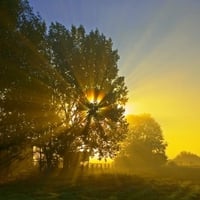 Sunlights, Westham, Canada