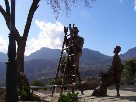 The old fruit picker - spain, fruit picking, fruit picker, gran canaria, 2009, photo, photograph, fruit