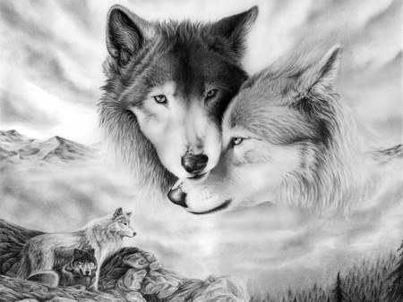 pair of wolves - wolves, two, couple, black and white, drawing