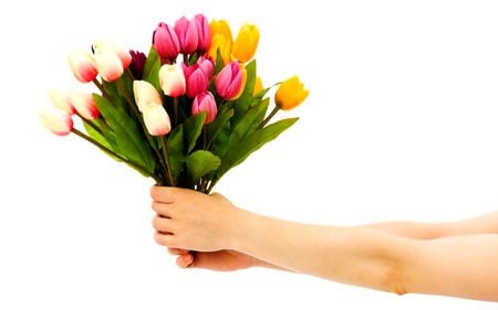 tulips gift - tulips, bouquet, colours, gift