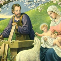 The holly family