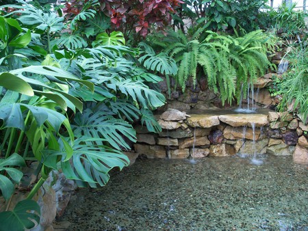 pond,plants and waterfalls - waterfalls, pond, plants, rocks