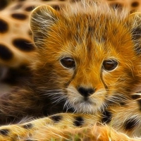 Fractal Cheetah