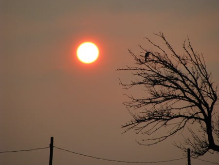 sleepy sun - sky, sleepy, beauty, romania, nature, sun