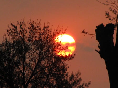 shy sun - sky, sleepy, beauty, romania, shy, nature, sun