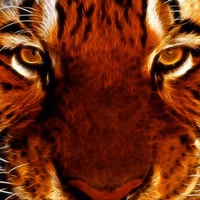 Fractal Tiger