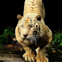 Fractal Tiger