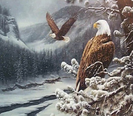 Winter eagles - snow, eagles, one flying