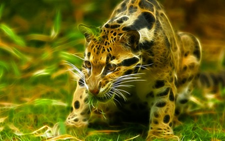 Fractal Ocelot - fractal, cat, wild, ocelot, animal