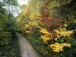 Autumn-Roadway