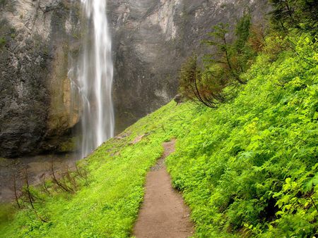 Beautiful Waterfall - path, nature, waterfall, green, grass