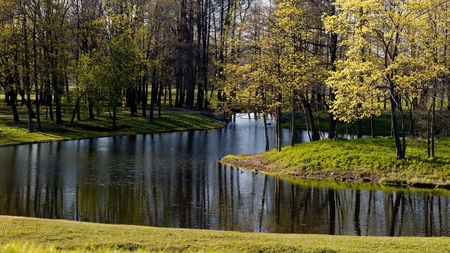 Lake View - nature, lake, grass, trees