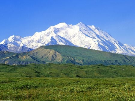 Cold Peak Denali - nature, fields, green, mountains, grass