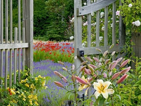 Garden Gate Bainbridge - flowers, gate, garden