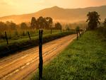 Sparks Lane at Sunset