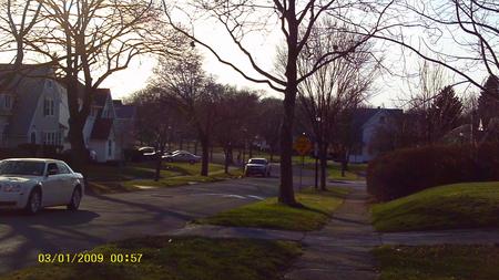 the brighter side of life - nature, street