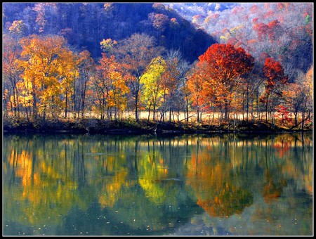 Colors of Autumn - picture, beautiful, colors of autumn