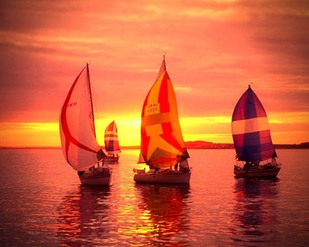 Weekend sail - sailing boats, reflection, sunset, red sky, red sea