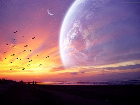 Gazing in wonder - moon, beach, sky, paradise, sunset, pink moon, cg, people on beach, reflection, color, sunrise, birds