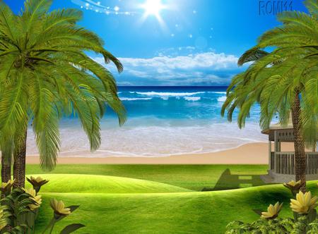 Beach - nature, sky, palm trees, water, flowers, gazebo