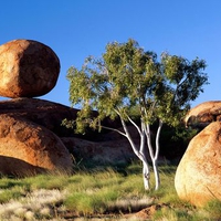 Balancing Boulder