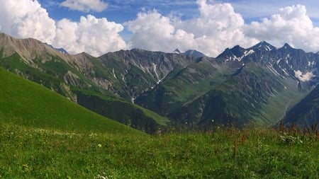 Ever Green - nature, fields, green, mountains, sky