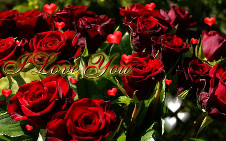 I Love You - valentine, flowers, roses, red