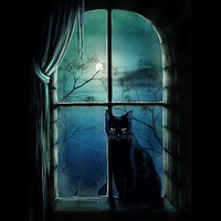 Witches-cat