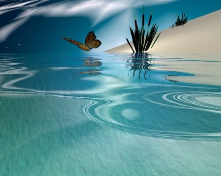 BUTTERFLY DREAMS - dreams, beach, butterfly, water, animal