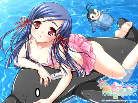 little princess - pretty, graphic, blue, dolphin, ocean, cg, pool, funny, bikini, cute, sexy, penguin