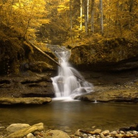 Golden Waterfall