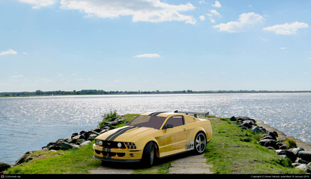 mustang - ford, car, mustang