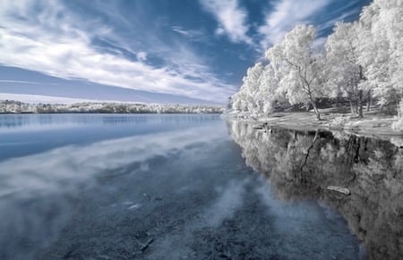 LAKE & TREE - lake, tree