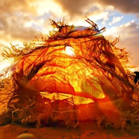 fantasy tent