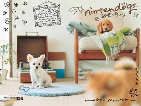 Nintendogs Room - nintendogs, nintendo, video games, ds