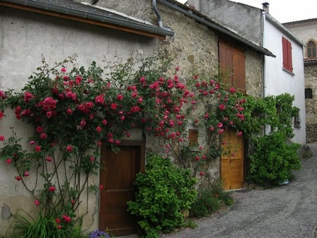 Sentenac dOust - cottage, flowers, wall