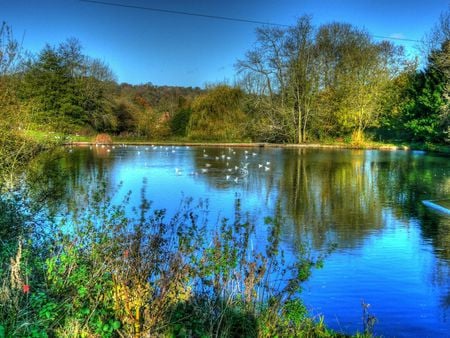 Shottermill Ponds West Sussex - shottermill, west sussex, pond