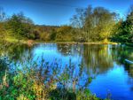 Shottermill Ponds West Sussex