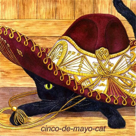 cinco de mayo cat - hot, cat, animals, cinco de mayo, cute