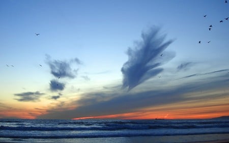 beach - beach, nature