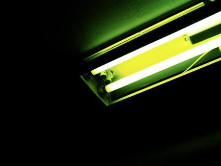 In The Lime Light - electric, glow, neon, light, green, lime, shine