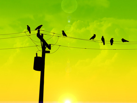 Dusk To Dawn - morning, yellow, clouds, telephone pole, sun, green, wires, birds