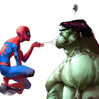 spiderman vs hulk