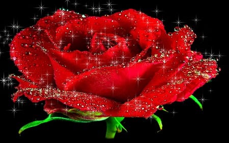 Heart Of Sparkling - flowers, roses, nature, loving, romantic, sparkling, beauty