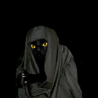 Witch Death Cat
